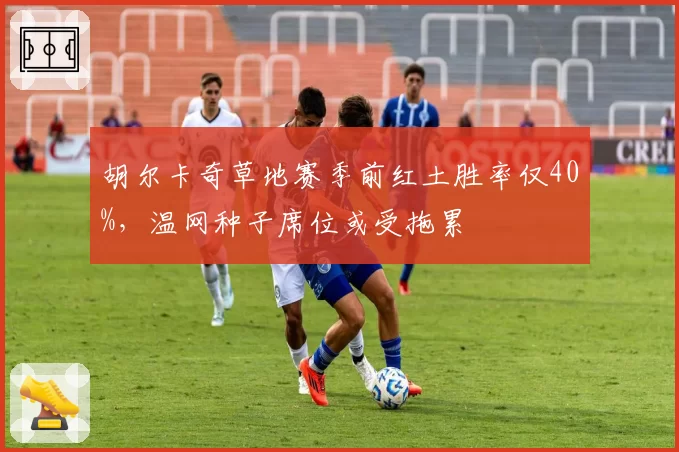 胡尔卡奇草地赛季前红土胜率仅40%,温网种子席位或受拖累