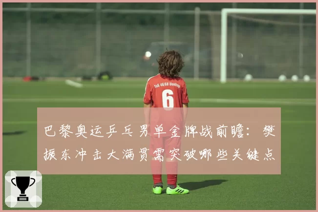 巴黎奥运乒乓男单金牌战前瞻：樊振东冲击大满贯需突破哪些关键点？