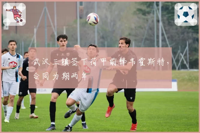 武汉三镇签下荷甲前锋韦霍斯特，合同为期两年
