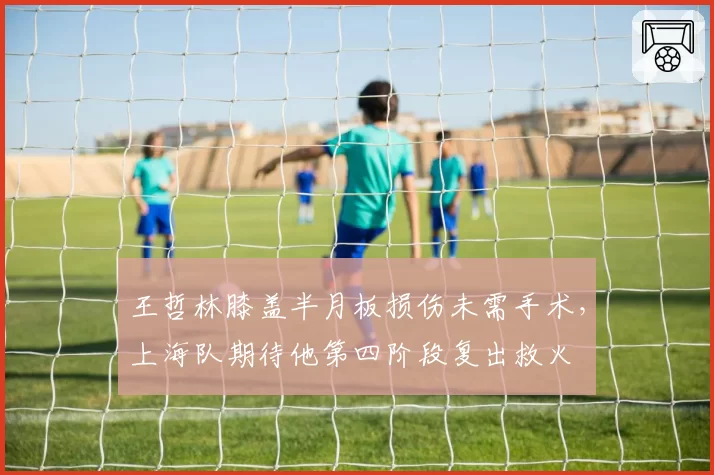 王哲林膝盖半月板损伤未需手术,上海队期待他第四阶段复出救火