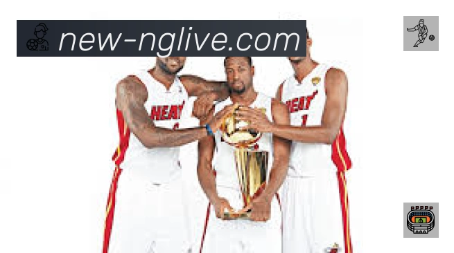 NG体育平台展示图